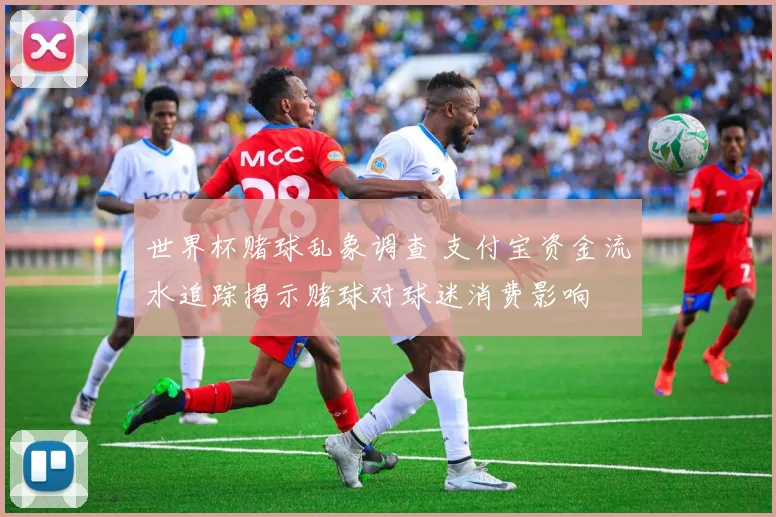 世界杯赌球乱象调查 支付宝资金流水追踪揭示赌球对球迷消费影响