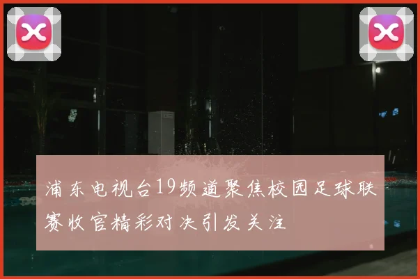 浦东电视台19频道聚焦校园足球联赛收官精彩对决引发关注